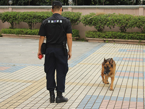 東莞護衛