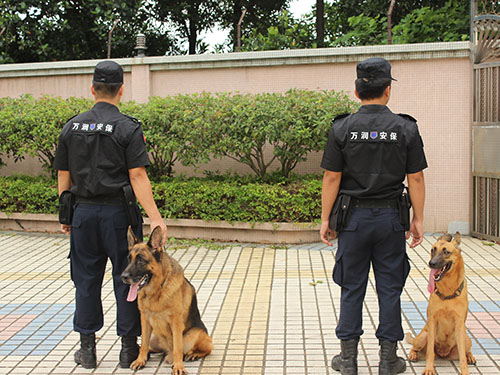 護衛訓練
